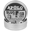 Śrut Apolo Slug 75 4,85g 9/100szt (19307)